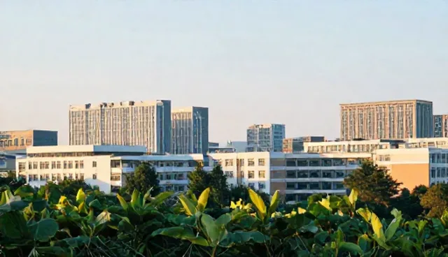 性能优化与适用条件:问题处理中的关键考量